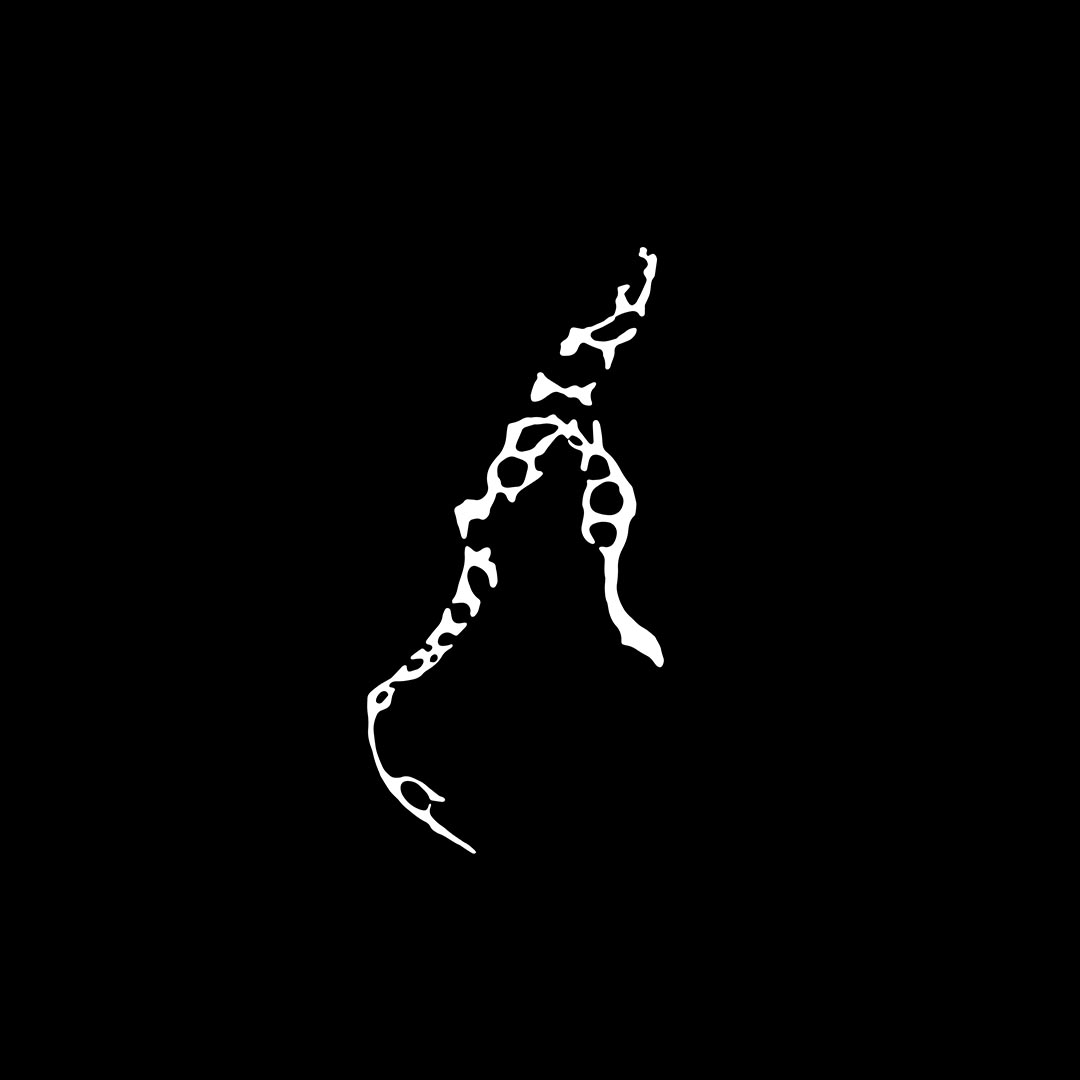 Goro studio | proyectos | projects | archivos | archive | info